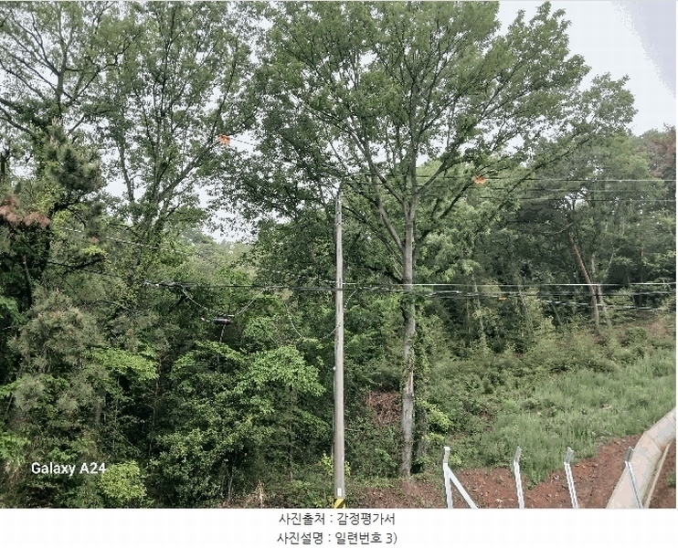 2025타경421 전라남도 광양시 진월면 신아리 22 농지 경매 이미지