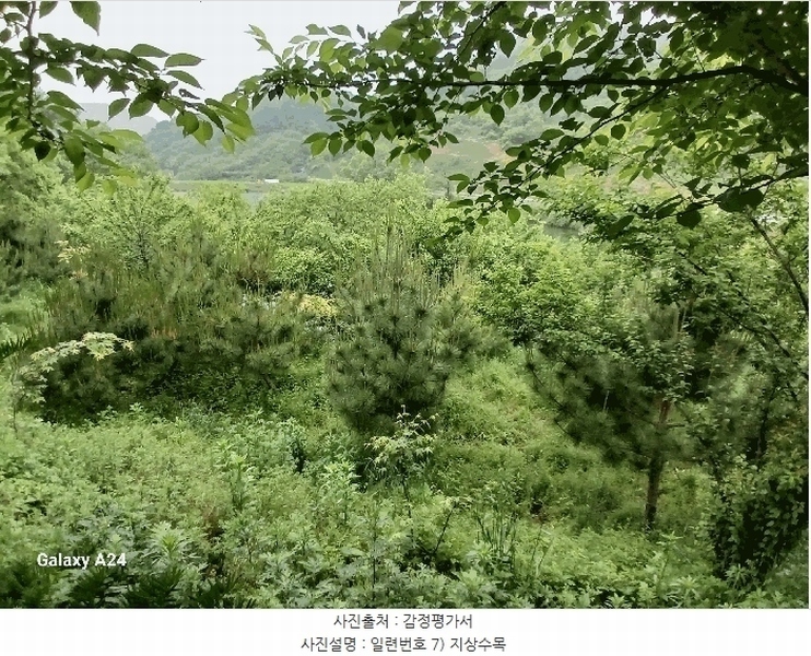 2025타경421 전라남도 광양시 진월면 신아리 22 농지 경매 이미지