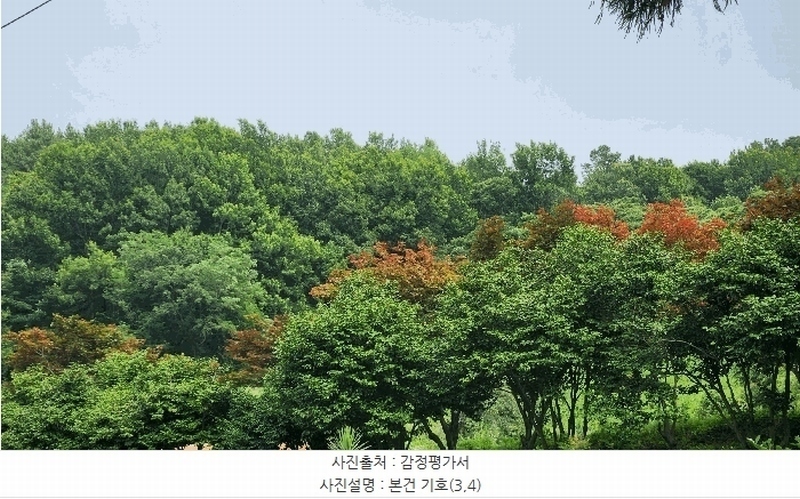2025타경51694 전라남도 여수시 율촌면 월산리 248-32 임야 경매 이미지