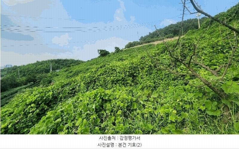 2025타경51694 전라남도 여수시 묘도동 산17-1 임야 경매 이미지