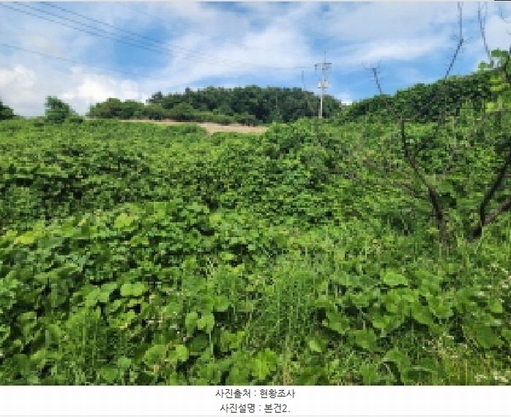 2025타경51694 전라남도 여수시 묘도동 산17-1 임야 경매 이미지