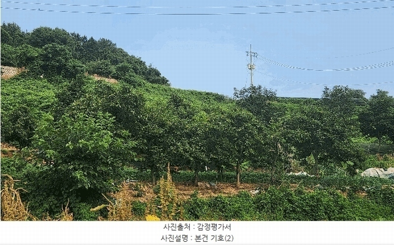 2025타경51694 전라남도 여수시 묘도동 산17-1 임야 경매 이미지