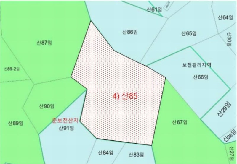 2025타경376 전라남도 신안군 비금면 죽림리 산85 임야 경매 이미지