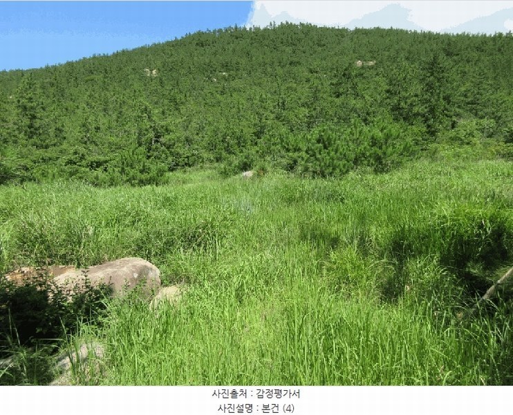 2025타경462 전라남도 신안군 암태면 오상리 1030 농지 경매 이미지
