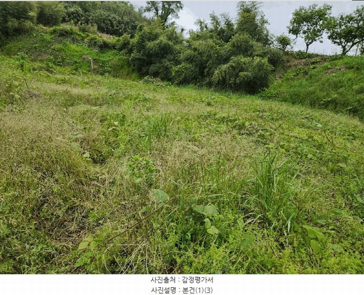2025타경51099 전라남도 영암군 시종면 와우리 699-1 대지 경매 이미지