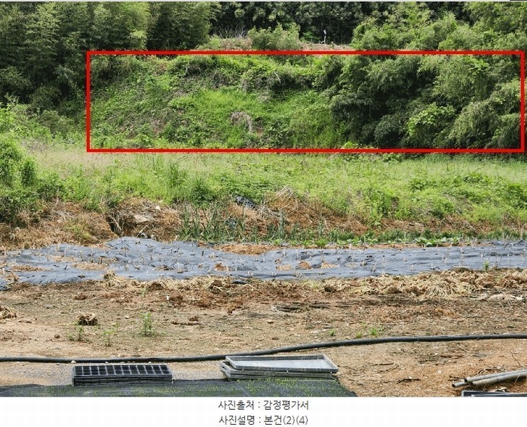 2025타경51099 전라남도 영암군 시종면 와우리 699-1 대지 경매 이미지