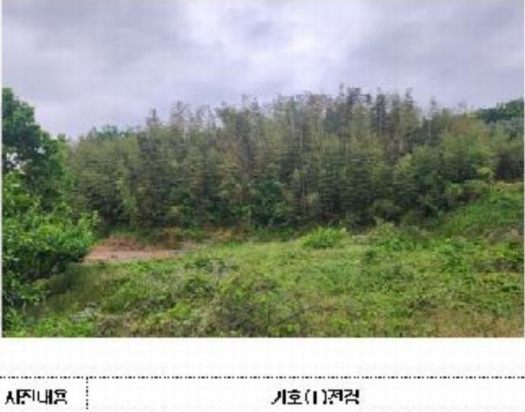 2025타경51099 전라남도 영암군 시종면 와우리 699-1 대지 경매 이미지