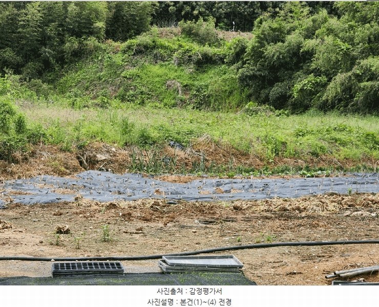 2025타경51099 전라남도 영암군 시종면 와우리 699-1 대지 경매 이미지