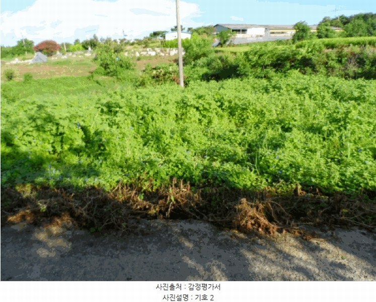 2025타경51342 전라남도 함평군 손불면 학산리 산72-4 임야 경매 이미지