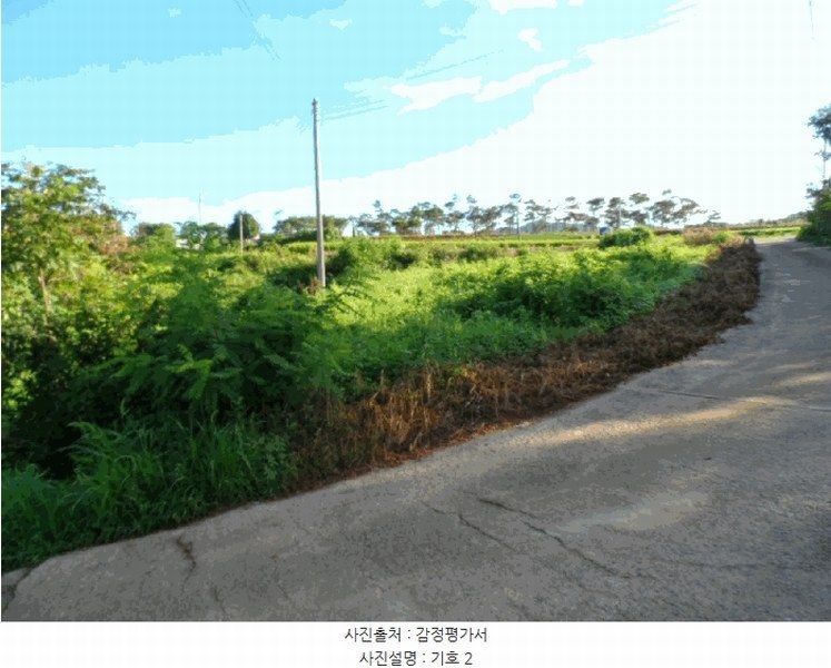 2025타경51342 전라남도 함평군 손불면 학산리 산72-4 임야 경매 이미지