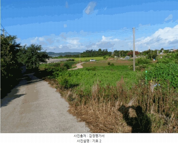 2025타경51342 전라남도 함평군 손불면 학산리 산72-4 임야 경매 이미지