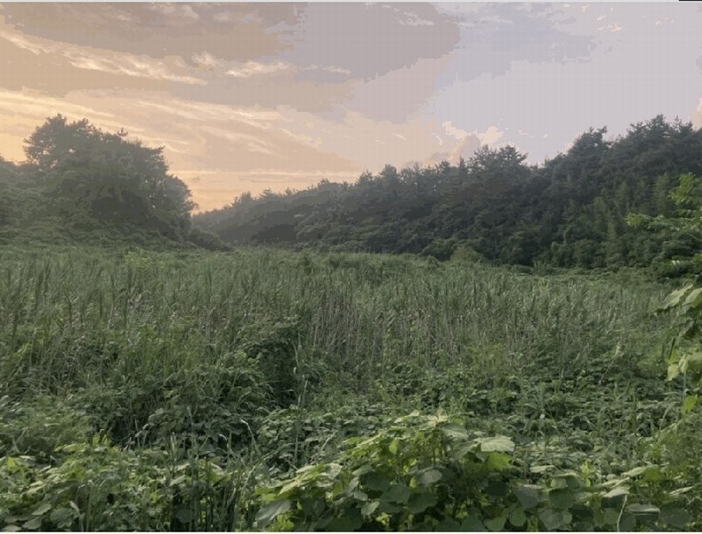 2025타경51348 전라남도 무안군 청계면 서호리 389 농지 경매 이미지