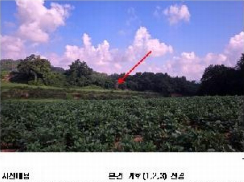 2025타경51348 전라남도 무안군 청계면 서호리 389 농지 경매 이미지