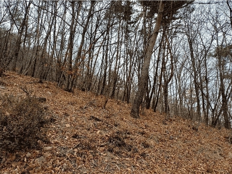 2025타경11131 경상남도 김해시 상동면 우계리 산337-9 임야 경매 이미지