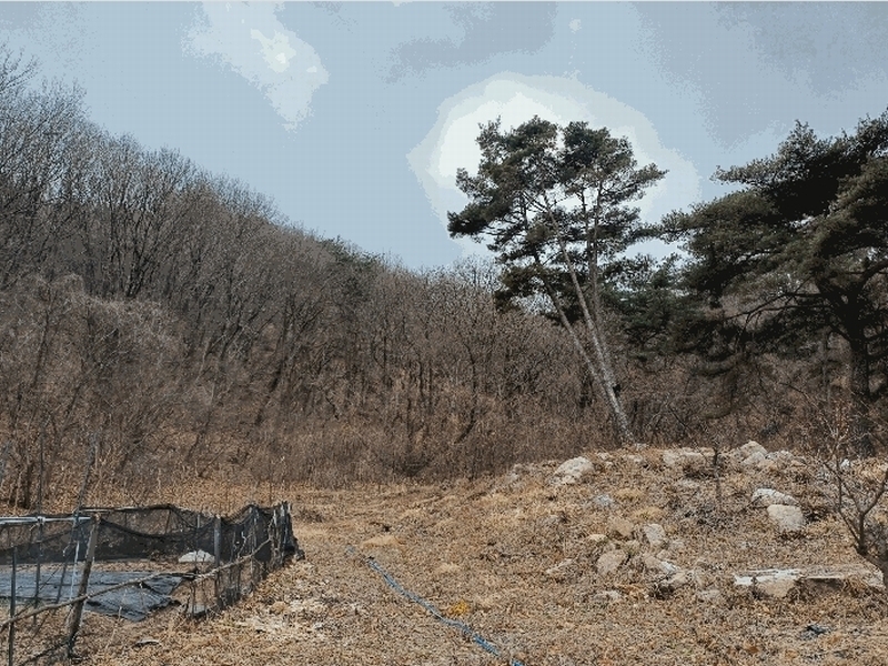 2025타경11131 경상남도 김해시 상동면 우계리 산337-9 임야 경매 이미지
