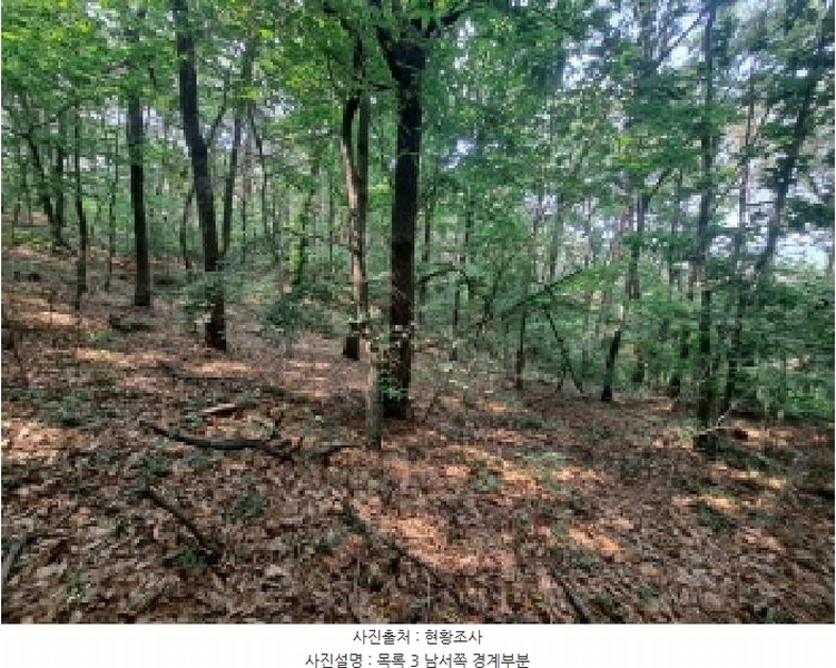 2025타경51350 충청남도 당진시 면천면 죽동리 285-6 임야 경매 이미지