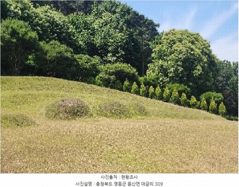 2025타경10148 충청북도 영동군 용산면 매금리 309 묘지 경매 이미지