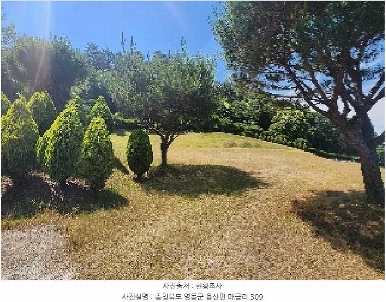 2025타경10148 충청북도 영동군 용산면 매금리 309 묘지 경매 이미지