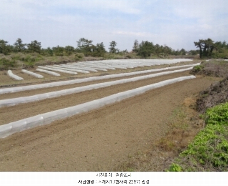 2024타경3185 제주특별자치도 제주시 한림읍 협재리 2267 농지 경매 이미지