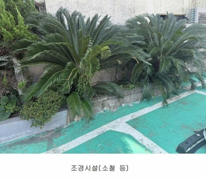 2024타경22995 제주특별자치도 제주시 삼도일동 559-10 숙박시설 경매 이미지