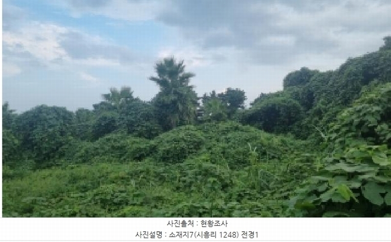 2025타경1597 제주특별자치도 서귀포시 성산읍 시흥리 1248 농지 경매 이미지