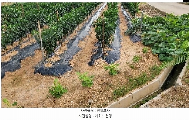 2025타경20983 전북특별자치도 익산시 낭산면 석천리 1197 대지 경매 이미지