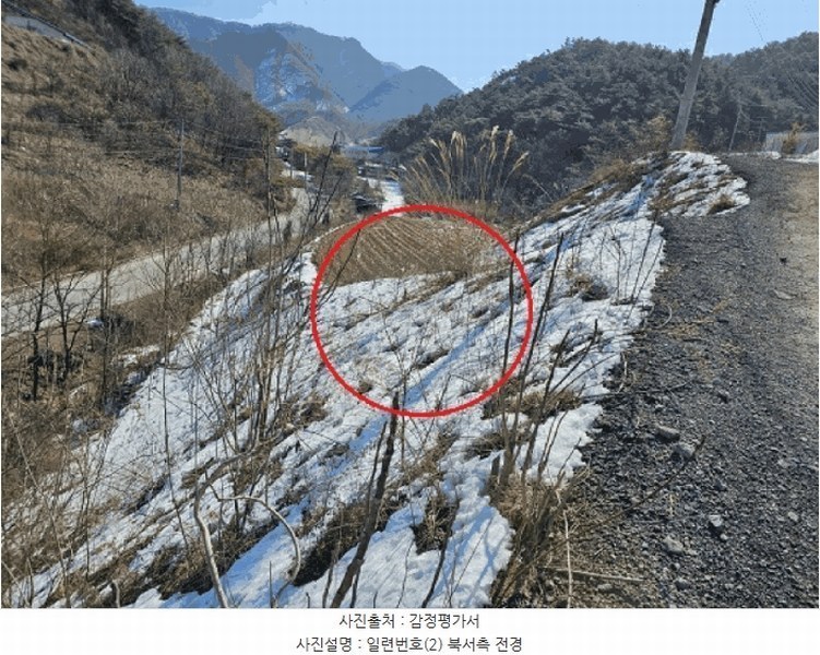 2025타경240 강원특별자치도 영월군 북면 문곡리 산116-8 임야 경매 이미지
