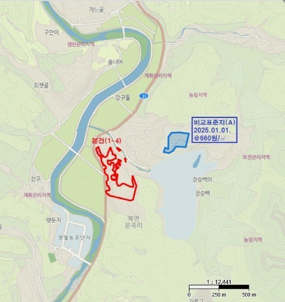 2025타경240 강원특별자치도 영월군 북면 문곡리 산116-8 임야 경매 이미지