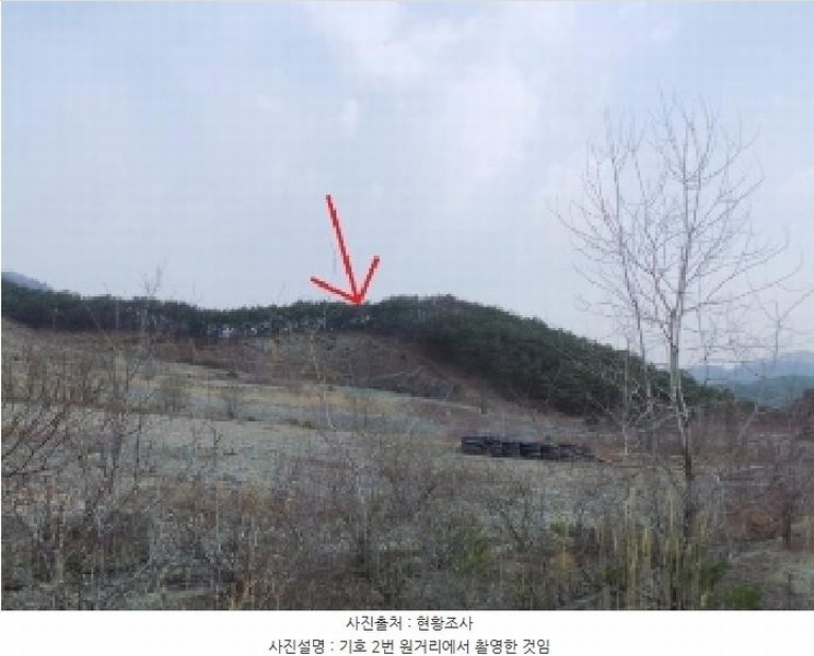 2025타경370 강원특별자치도 영월군 영월읍 삼옥리 994 농지 경매 이미지