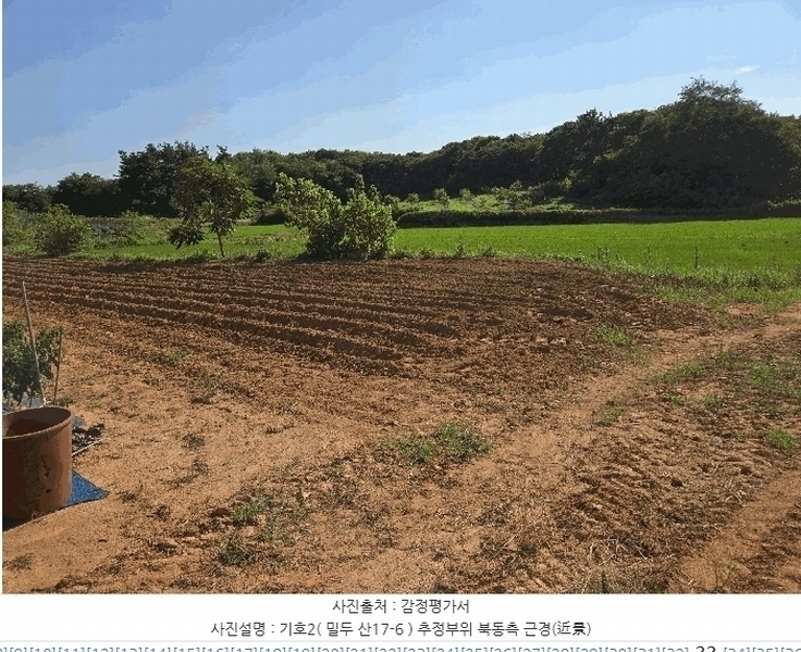 2025타경11746 충청남도 아산시 인주면 밀두리 산17-6 임야 경매 이미지