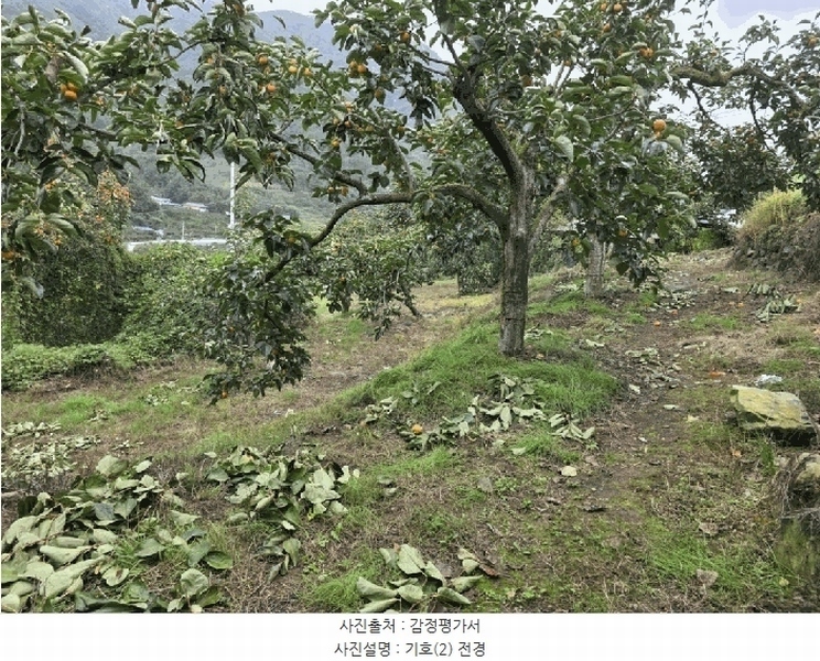 2025타경956 경상북도 청도군 매전면 하평리 1215 농지 경매 이미지