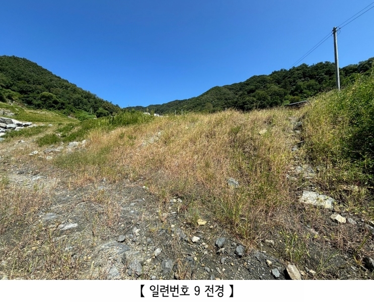 2024타경2506 충청북도 충주시 엄정면 유봉리 125 농지 경매 이미지