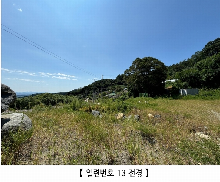 2024타경2506 충청북도 충주시 엄정면 유봉리 125 농지 경매 이미지