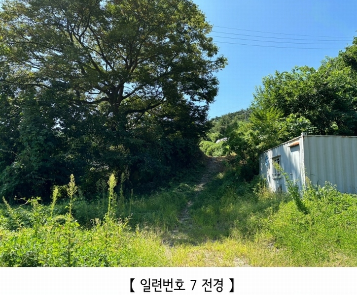 2024타경2506 충청북도 충주시 엄정면 유봉리 125 농지 경매 이미지