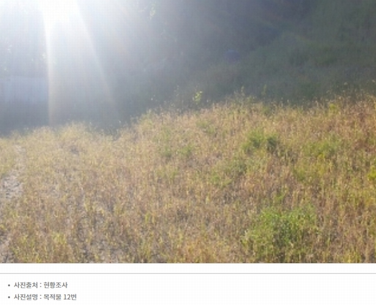 2024타경2506 충청북도 충주시 엄정면 유봉리 125 농지 경매 이미지