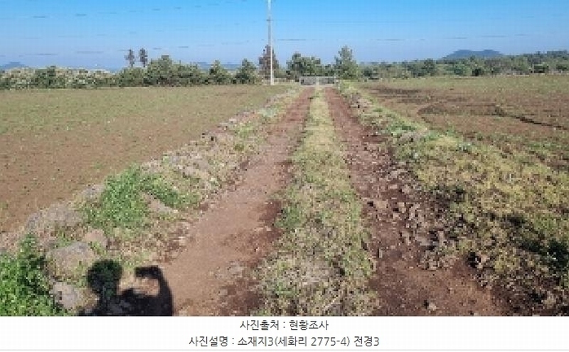 2025타경1054 제주특별자치도 제주시 구좌읍 세화리 2775-3 농지 경매 이미지