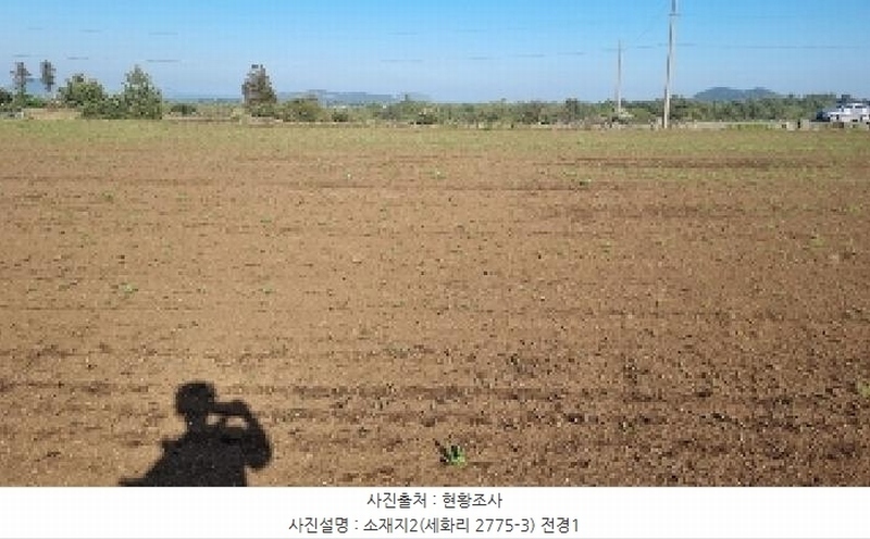 2025타경1054 제주특별자치도 제주시 구좌읍 세화리 2775-3 농지 경매 이미지