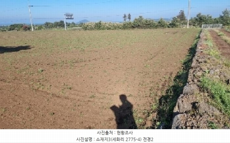 2025타경1054 제주특별자치도 제주시 구좌읍 세화리 2775-3 농지 경매 이미지