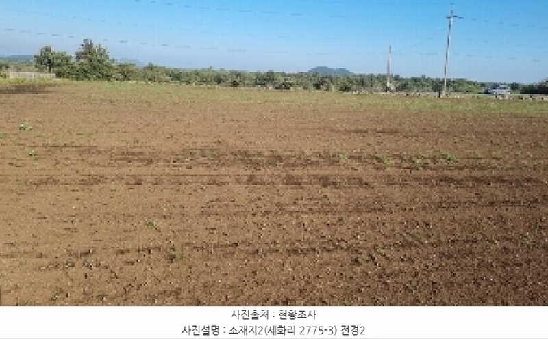 2025타경1054 제주특별자치도 제주시 구좌읍 세화리 2775-3 농지 경매 이미지
