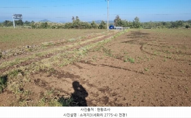 2025타경1054 제주특별자치도 제주시 구좌읍 세화리 2775-3 농지 경매 이미지