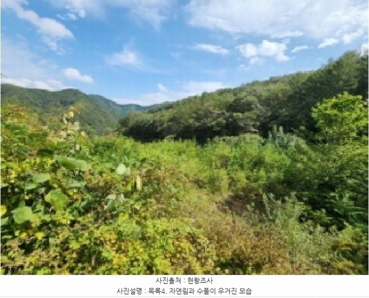 2025타경31721 전북특별자치도 진안군 주천면 운봉리 537-5 농지 경매 이미지