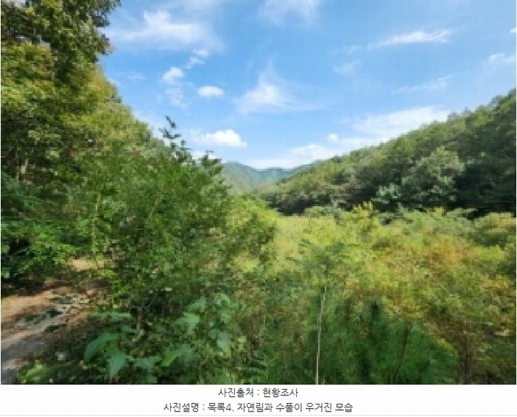 2025타경31721 전북특별자치도 진안군 주천면 운봉리 537-5 농지 경매 이미지