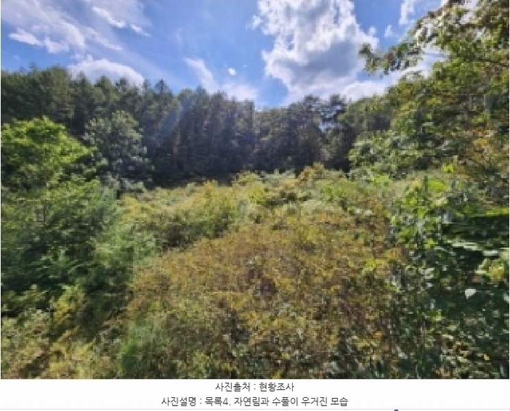 2025타경31721 전북특별자치도 진안군 주천면 운봉리 537-5 농지 경매 이미지