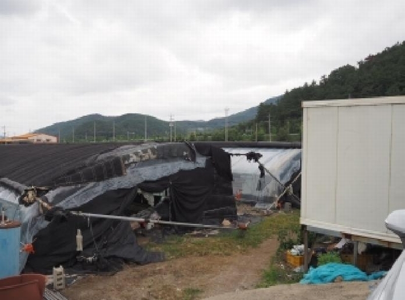 2025타경1837 경상남도 밀양시 산외면 다죽리 883-7 농지 경매 이미지