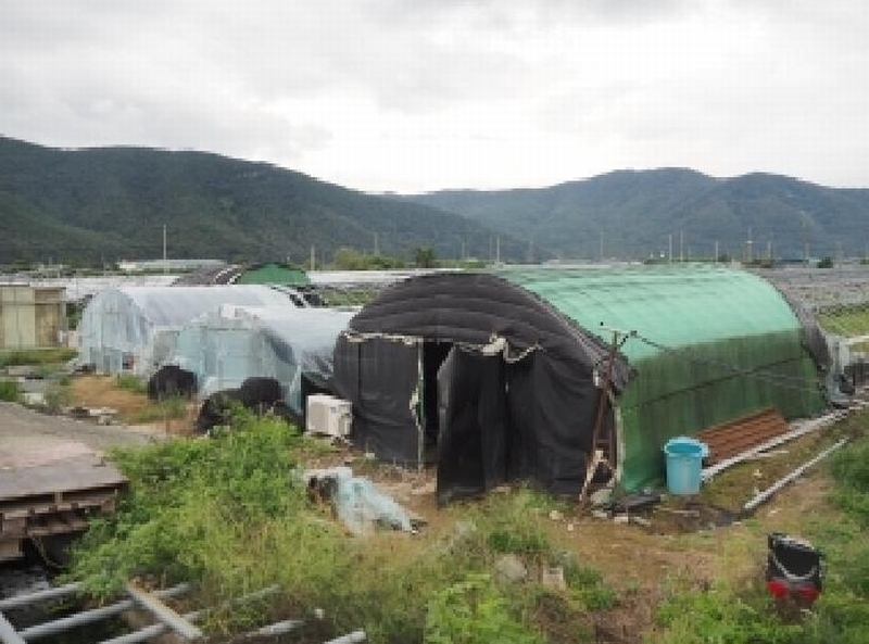 2025타경1837 경상남도 밀양시 산외면 다죽리 883-7 농지 경매 이미지
