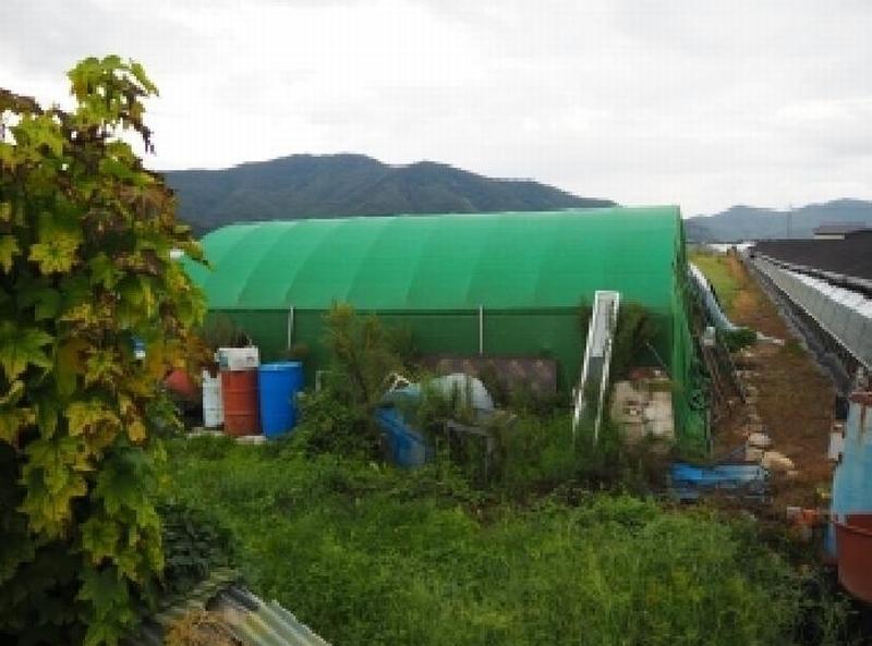 2025타경1837 경상남도 밀양시 산외면 다죽리 883-7 농지 경매 이미지
