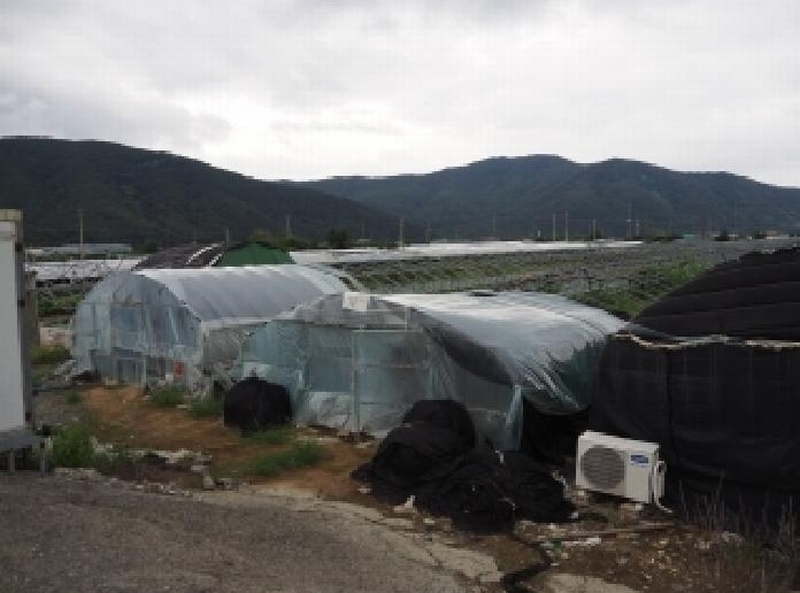 2025타경1837 경상남도 밀양시 산외면 다죽리 883-7 농지 경매 이미지