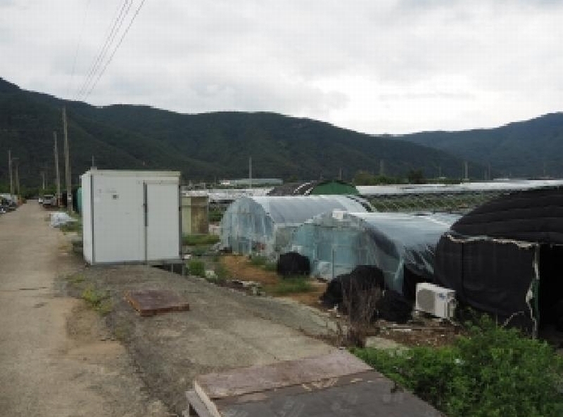 2025타경1837 경상남도 밀양시 산외면 다죽리 883-7 농지 경매 이미지