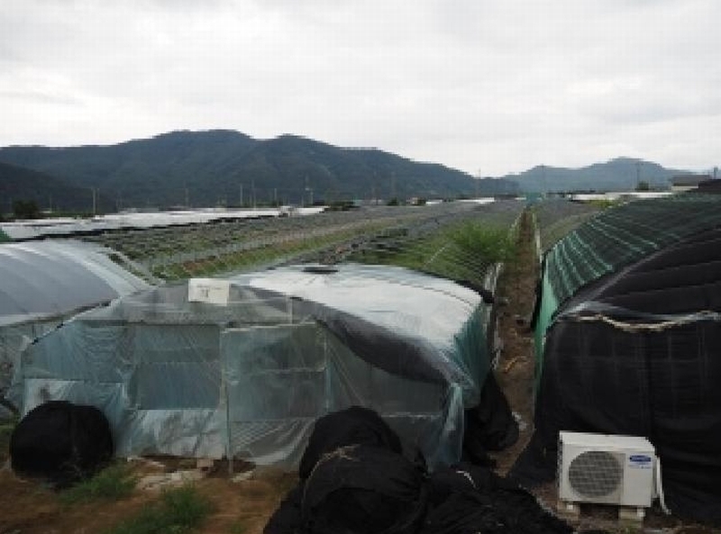 2025타경1837 경상남도 밀양시 산외면 다죽리 883-7 농지 경매 이미지