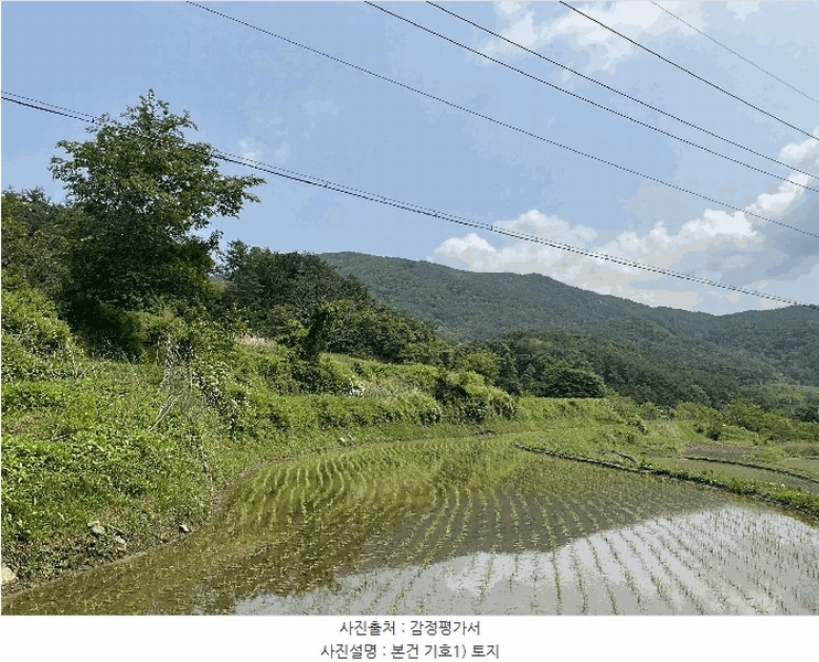 2025타경30856 경상남도 산청군 차황면 장박리 112-2 농지 경매 이미지